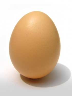 egg